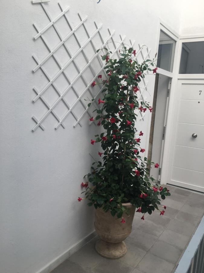 Loft Xerez Centro Daire Jerez de la Frontera Dış mekan fotoğraf